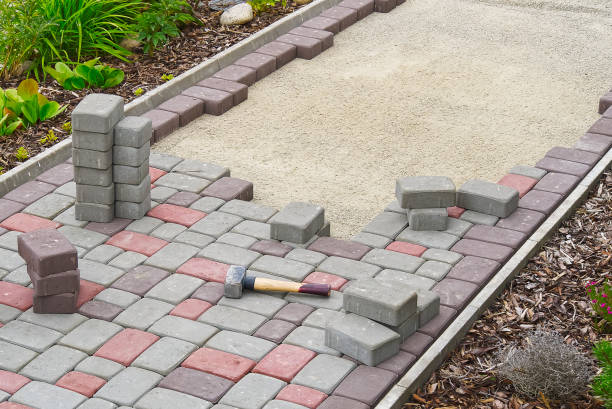 Best Driveway Paving Contractor  in Sauk Centre, MN